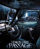 Смотреть Онлайн Лемон Три Пасседж / Происшествие на Лимонном шоссе / Lemon Tree Passage [2013]